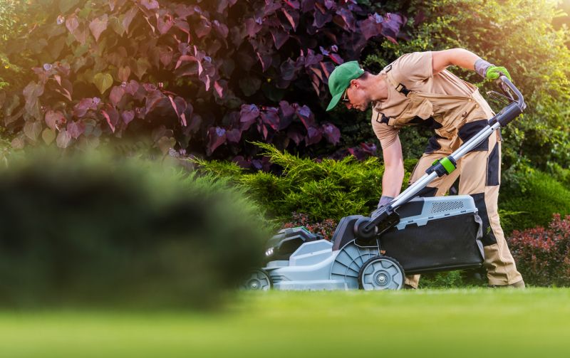 Local Lawn Replacement pros at work