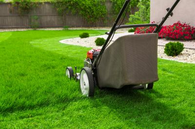 Top Rated Lawn Replacement Products