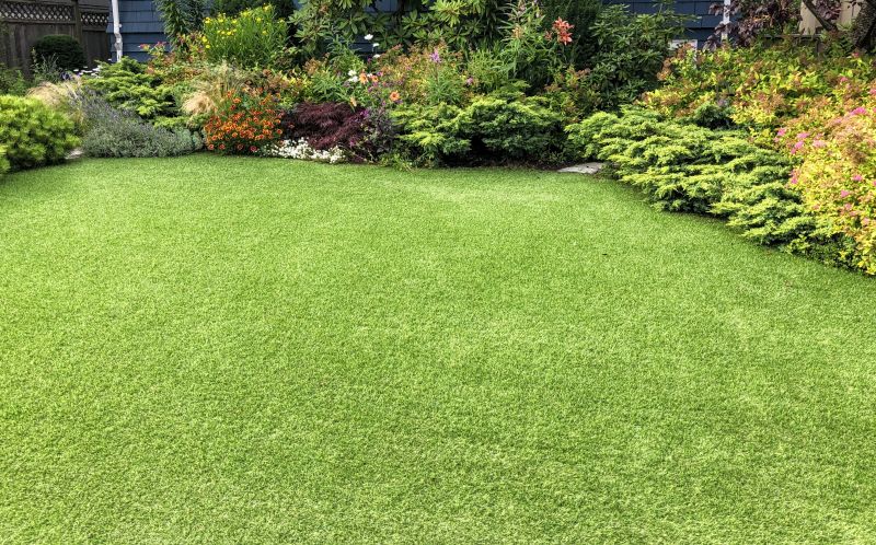 Lush New Lawn
